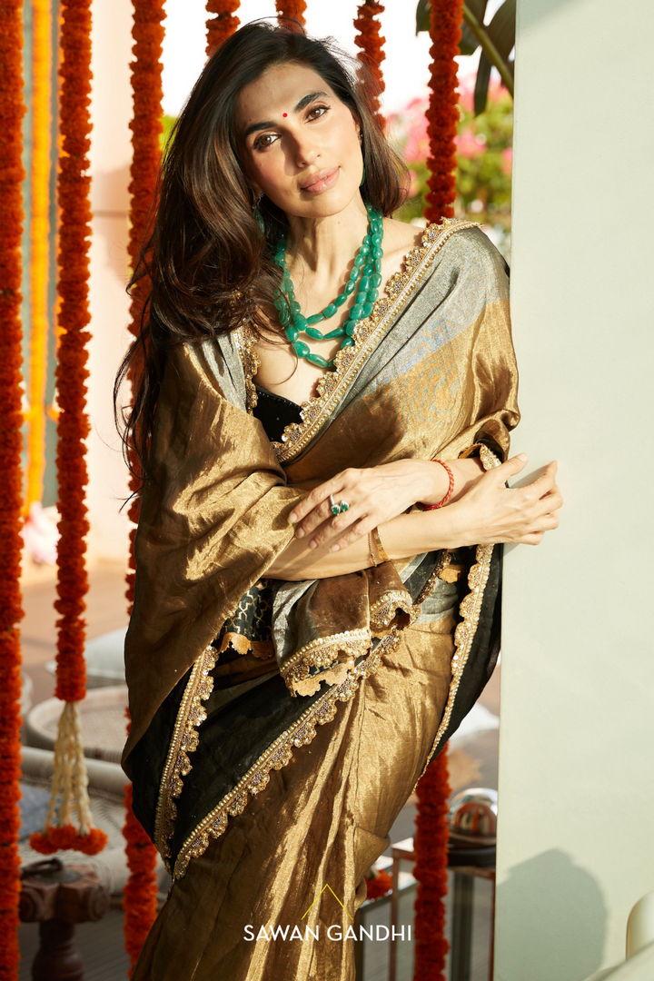 Prena Goel in Tricolour tissue saree