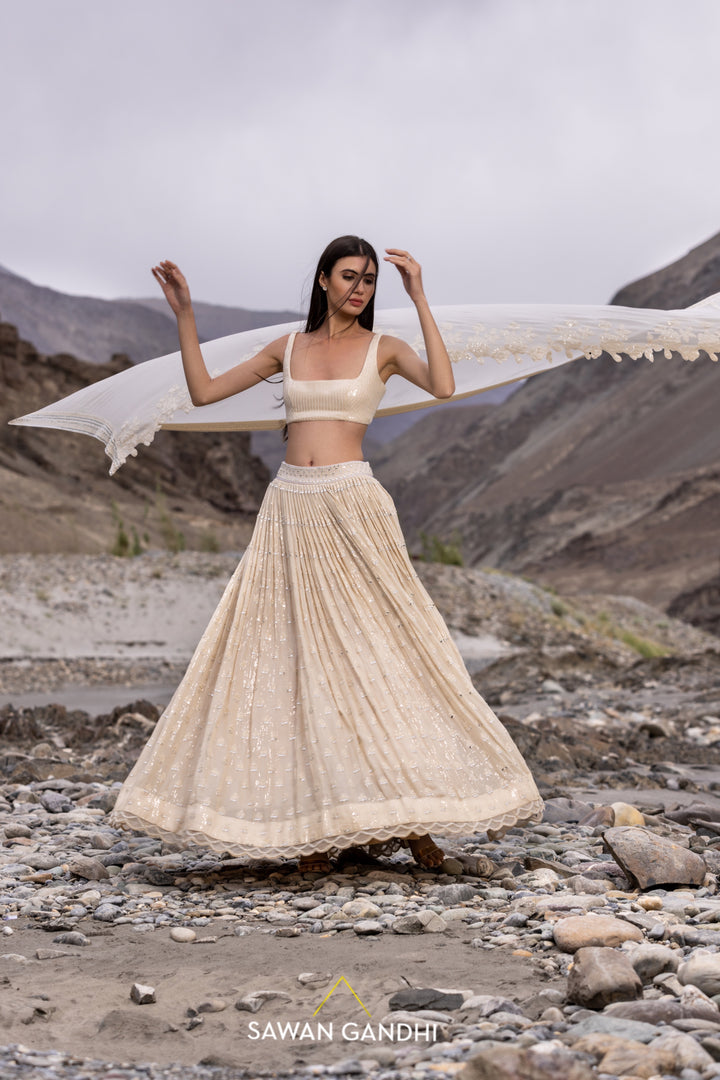 Beige paani sequins mirror booti lehenga