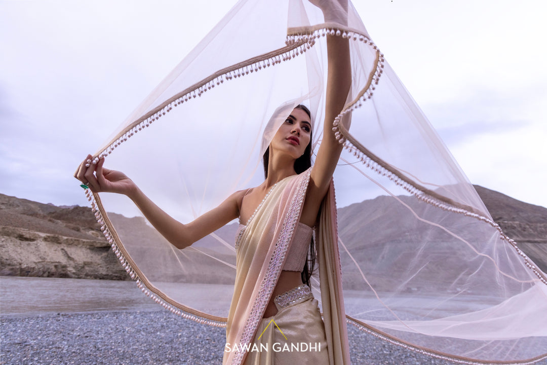 Nude to pink paani sequins ombre saree