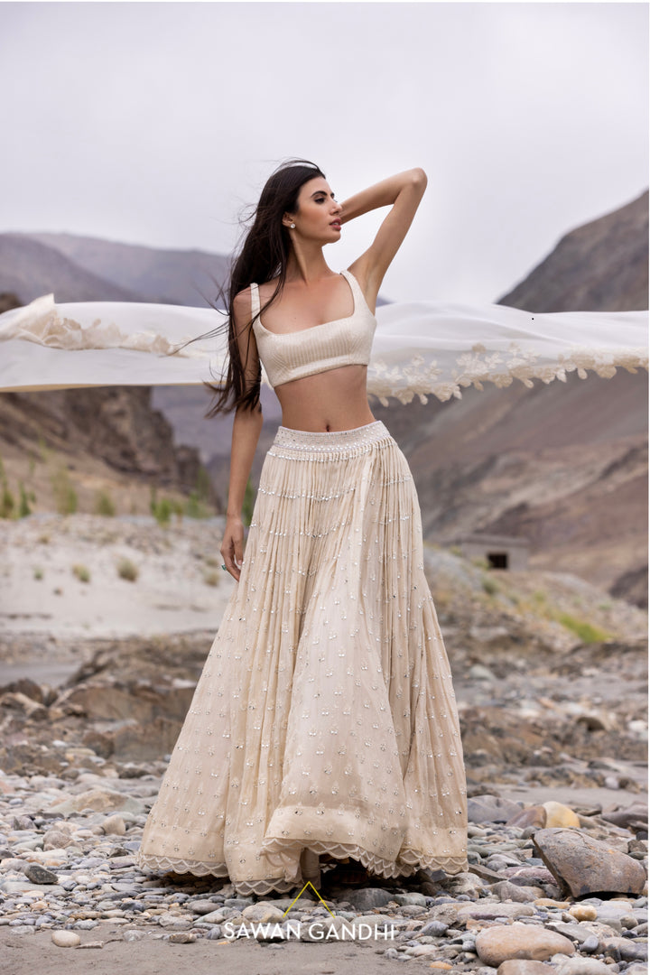 Beige paani sequins mirror booti lehenga
