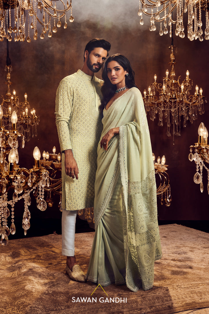 Mint green pani sequins Chikankari  saree