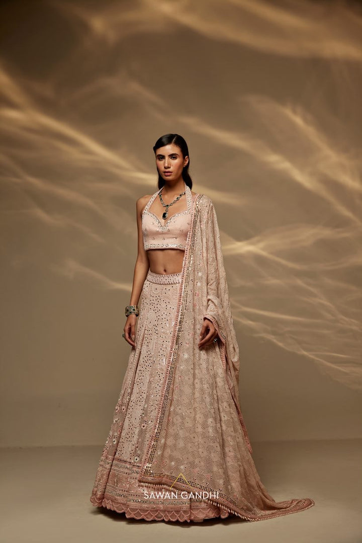 Blush pink chikankari and parsi work lehenga set